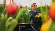 Un giardino tutto da mangiare: ecco Orticola a Milano