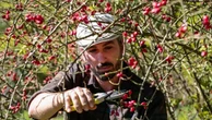 Tra le colline dell’Appennino il buen retiro dove tutto, dal cibo all’energia, è autoprodotto
