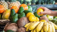 Tropici d’Italia, tra mango, papaya e avocado