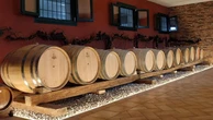 La giovane cantina veneta che spazia dallo spumante zero alcol alla Ribolla gialla
