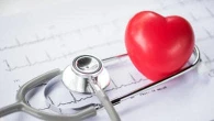 Una ricerca italiana su una terapia genica per una rara forma di aritmia genetica