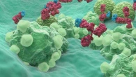 Tumore ovarico, arriva una nuova terapia mirata