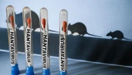 Hantavirus, si trasmette da uomo a uomo. Ma in Europa il pericolo è basso per ora