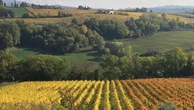 Rispetto della terra e correttezza verso le persone: arrivano le “Cantine etiche”