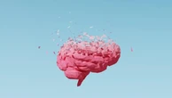 Ecco in che modo l’obesità aumenta il rischio di soffrire di Alzheimer