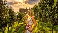 I vini dell’orto e delle ciliegie per festeggiare la bella stagione