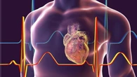 Rischio infarto, aritmie e diabete? Lo dirà (anche) la “pagella” del DNA