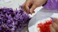 E l’Iran stuzzica l’Italia: la vostra cucina più povera senza zafferano e pistacchi prodotti da noi