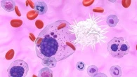 Leucemia mieloide cronica, nuovi dati a 3 anni: 24% di risposte in più rispetto a standard di cura