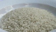 Il riso riconquista la tavola degli italiani: consumi in crescita del 6,9%