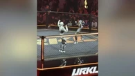 Un robot umanoide perde la testa ma continua a combattere sul ring: ecco perché