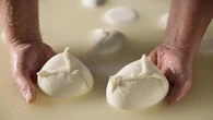 Altro che camembert o brie, la Francia impazzisce per la Mozzarella di bufala campana dop