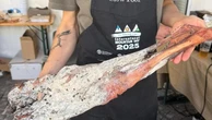 Distinti Salumi: un viaggio attraverso le migliori norcinerie artigianali italiane
