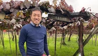 Dal Monte Fuji al Mugello: il sogno di Tatsuhiko per far rinascere un antico vitigno giapponese