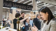 Vinitaly 2026, a Verona le metamorfosi del vino