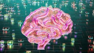 Alzheimer, la scienza accende il Gps dei ricordi. Ma mancano fondi e una legge per l’assistenza
