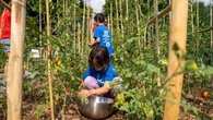 A CasaOz si coltiva l’inclusione: zucchine, pomodori e ortoterapia per bambini fragili