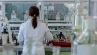 Malattie infettive, l’Ecdc segnala aumento dei casi di Shigella resistente in Europa
