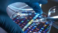 Un nuovo test genetico per sapere se si è a rischio di diventare sovrappeso. Già da bambini