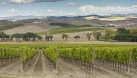 Montalcino, il Premio Casato Prime Donne a Darya Majidi, esperta di intelligenza artificiale