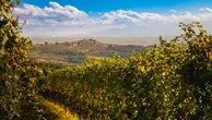 La cantina Ratti e la voglia di raccontare l’essenza del Barolo