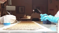 ME-Scripta, il Museo Egizio di Torino porta i papiri nell’era dell’intelligenza artificiale