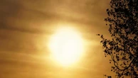 Ora legale, i ‘gufi’ soffrono di più lo spostamento delle lancette: con solare aumento ore di sonno
