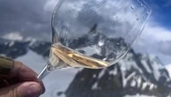 Leggero, fresco, versatile: il Lambrusco scala il Monte Bianco e vola a New York. I 5 assaggi top