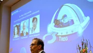 Ecco come il sistema immunitario ci difende. E talvolta ci aggredisce