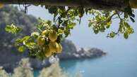 Dai limoni della costiera ai carciofi di Paestum: la Campania a tavola è poesia 