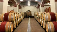 Nell’Alta Irpinia un moderno progetto di viticoltura eroica