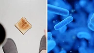 La regola dei 5 secondi per mangiare il cibo caduto a terra è vera? La risposta dell'esperto