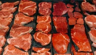 Dieta carnivora bocciata: dannosa per arterie, microbiota e tumori
