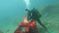Vino e mare: alle Cinque Terre il primo esperimento che unisce due tecniche subacquee