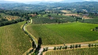 Vini, non più Toscano ma “Toscana Igt”. E via libera agli spumanti