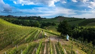 La cooperativa che da 50 vendemmie rende omaggio al Nebbiolo da Barbaresco