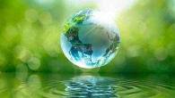 One Health: in Italia il primo Curriculum Globale per integrare salute umana, animale e ambientale