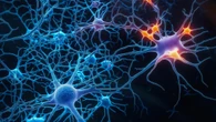 Sclerosi multipla: quale farmaco controlla meglio le ricadute?