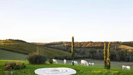 Vino e arte, un evento per conoscere le più belle cantine italiane