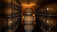 La cantina che racconta l’eccellenza di una inedita Toscana di confine