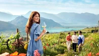 Picnic di primavera, merende gourmet tra vigne e filari