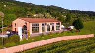 Alle porte dei Colli Berici, i vini potenti dell'azienda Le Pignole