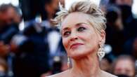 Il bambino prodigio che a 7 anni è gia stilista. E disegna gli abiti di Sharon Stone