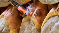 Prosciutto di Parma, vittoria in Cassazione: “Tipo Parma” è frode commerciale