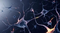 Luci puntate sulla sclerosi multipla pediatrica