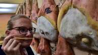 La nobile storia del prosciutto, da “carne conservata” a delizia del palato