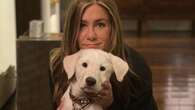 Lo shampoo per cani di Jennifer Aniston e altre idee regalo per gli animali