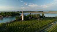 Da Venissa alla vigna urbana: tutta la Venezia del vino