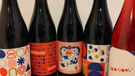 Tommaso, Agnese e il sogno della vigna coronato a Dogliani