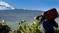 Etna, il top dei vini vulcanici: i dieci migliori da assaggiare